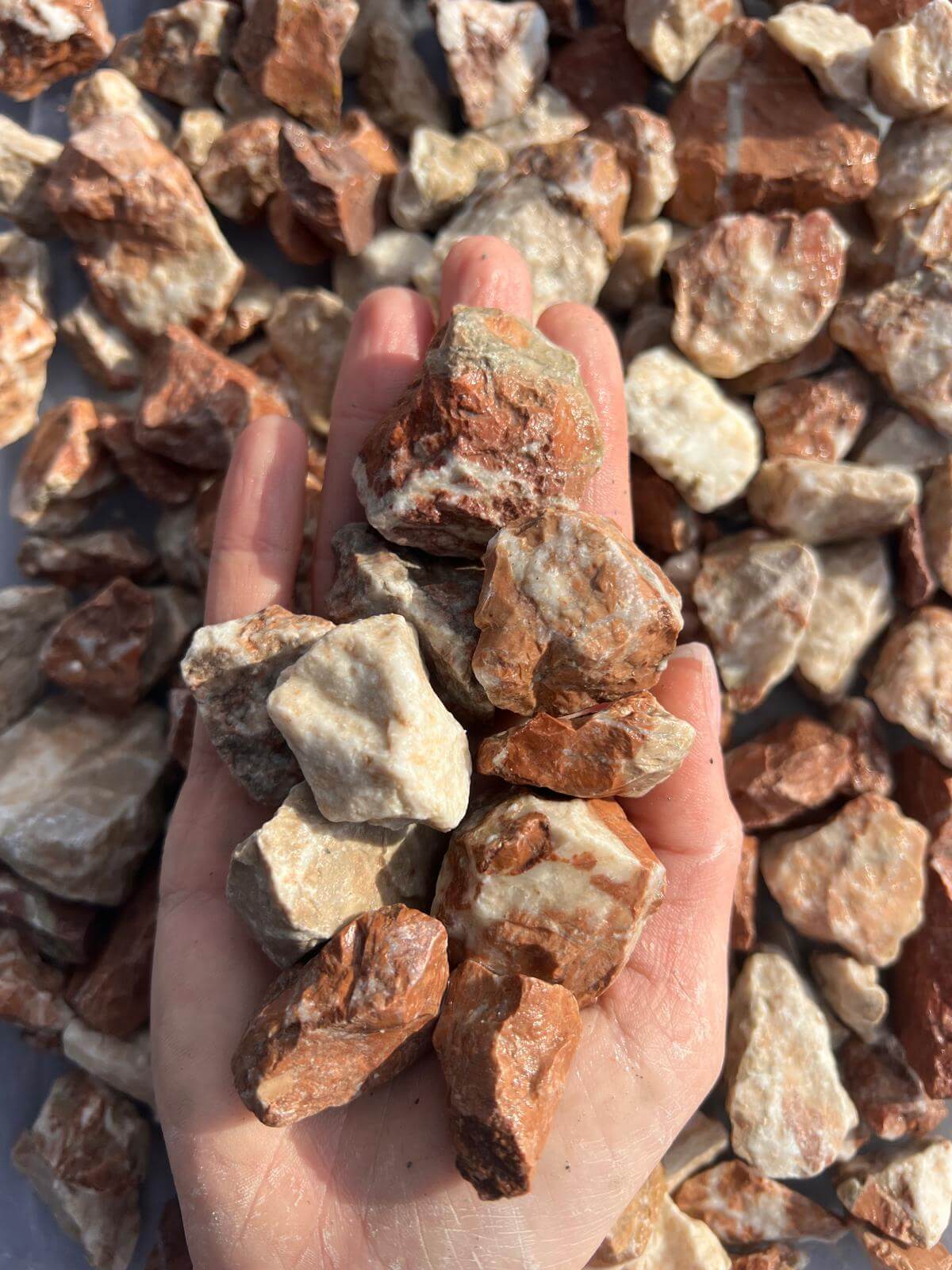 Creme rouge - onlinekies.at