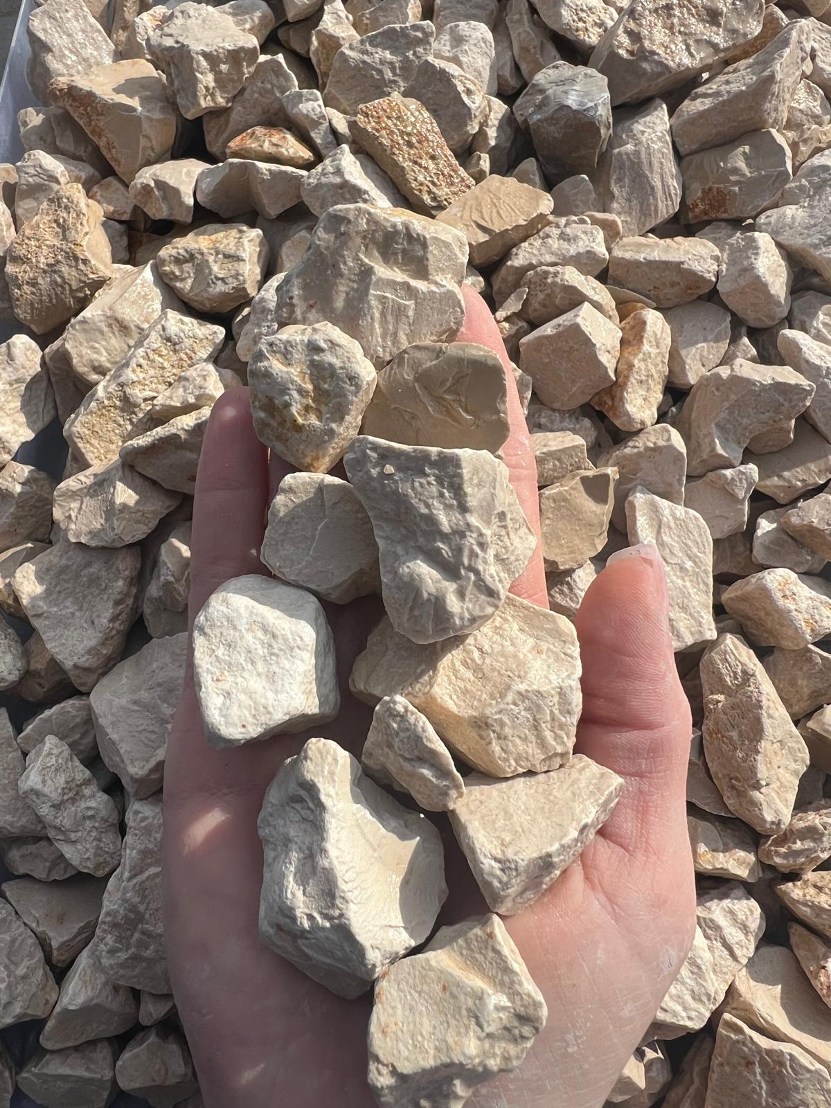 Adria- beige - onlinekies.at